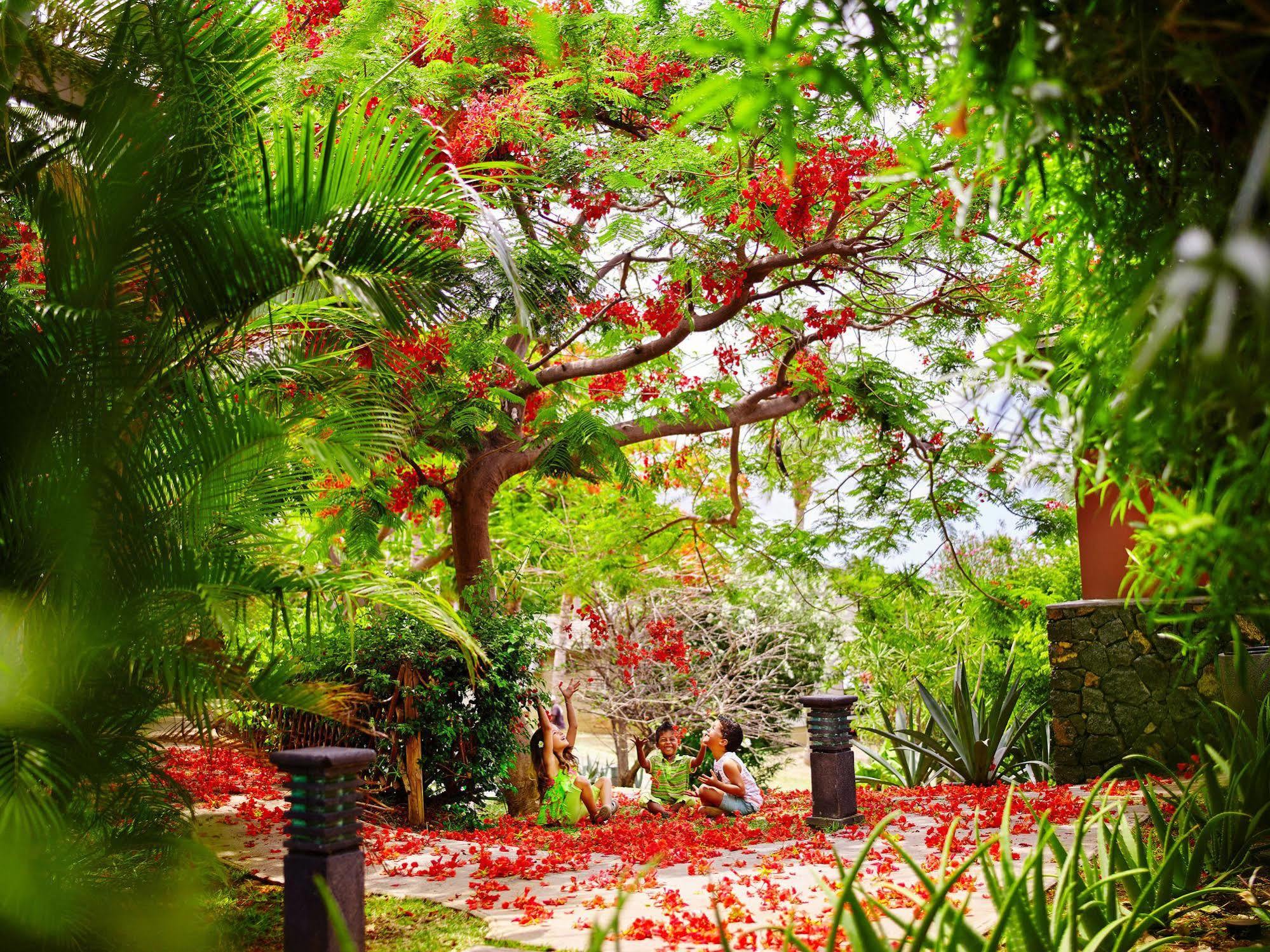 Iloha Seaview Hotel Saint-Leu Exterior foto